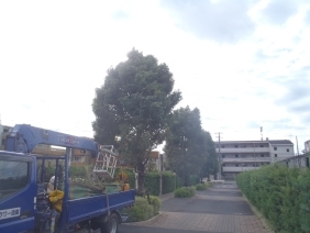 P2190145