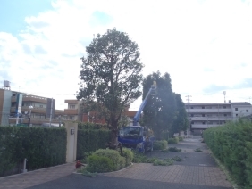 P2190150